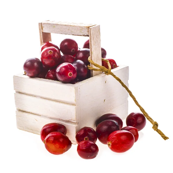 Fresh cranberries in wooden box — Stock Photo, Image