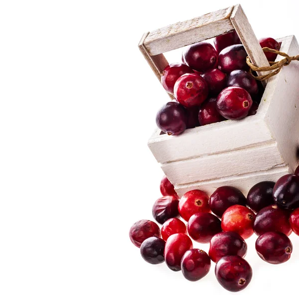 Fresh cranberries in wooden box — Stock Photo, Image