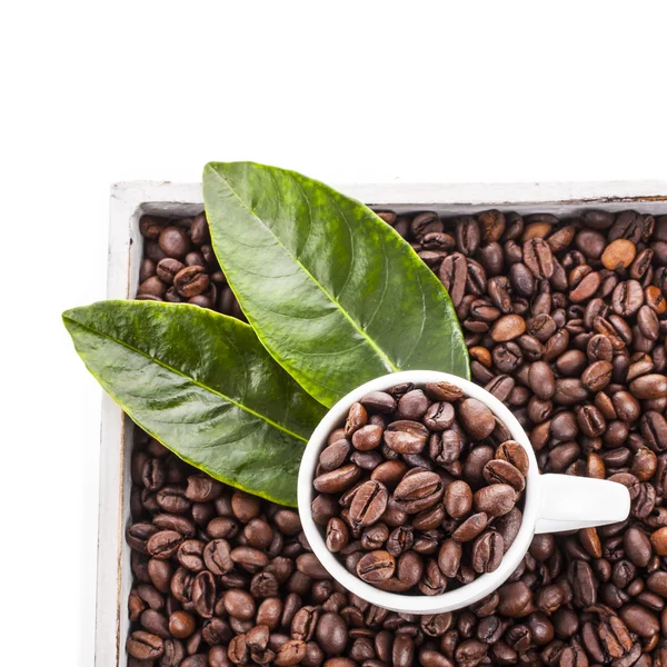 Cup with roasted coffee beans — Stock Photo, Image