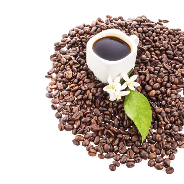 Pohár s pražená kávová zrna — Stock fotografie
