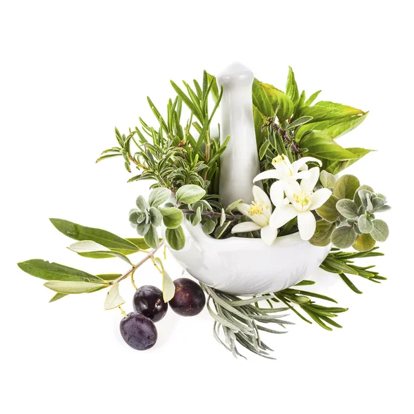 Fresh herbs in mortar — Stock Photo, Image