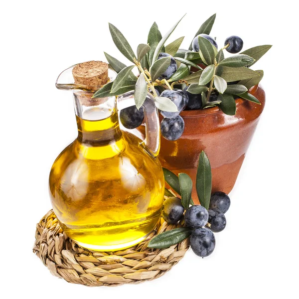 Olive oil and twig with olives — Stock Photo, Image