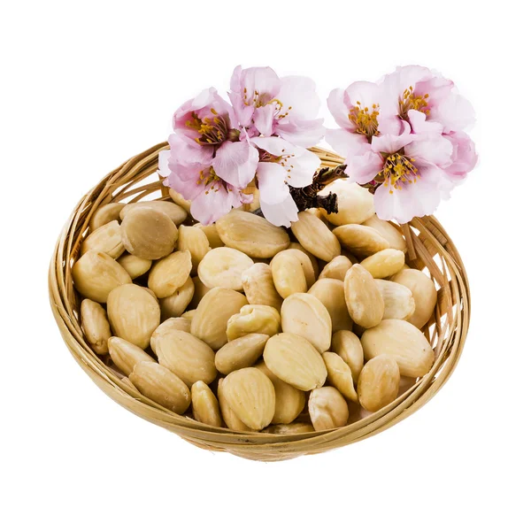 Almond blossoms and almonds in basket — Stock Photo, Image