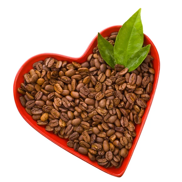 Roasted coffee beans in a bowl — Stock Photo, Image