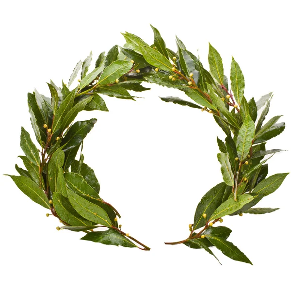 Laurel wreath close-up — Stock Photo, Image