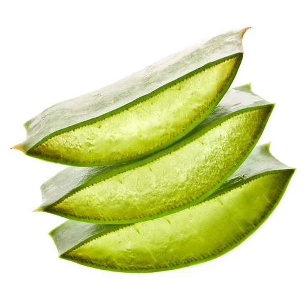 Foglie tritate aloe vera — Foto Stock