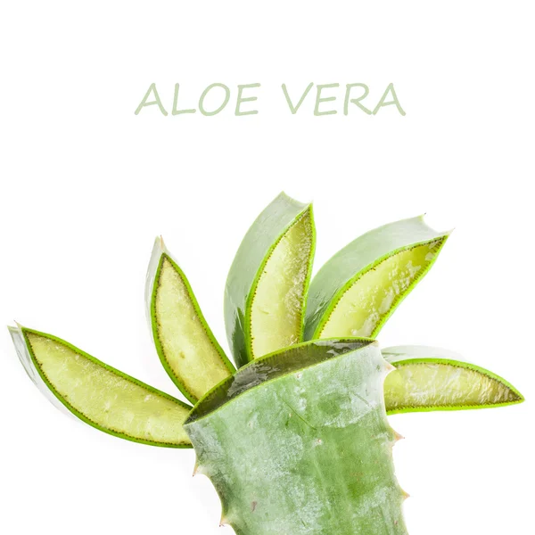 Darabolnak levelek aloe vera — Stock Fotó