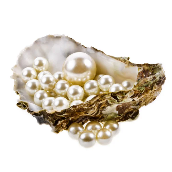 Austernschale und Perlen — Stockfoto