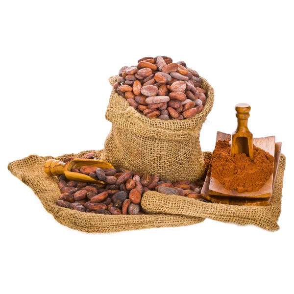 Cocoa beans in bag with scoop — Stock Photo, Image