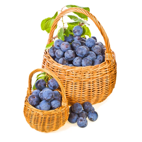 Plums in a wicker baskets — Stock Photo, Image