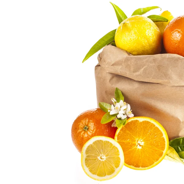 Naranjas maduras y limones en una bolsa de papel — Foto de Stock