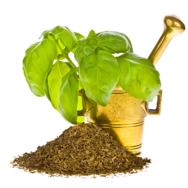 Dry and fresh basil leaves — Stock Photo, Image