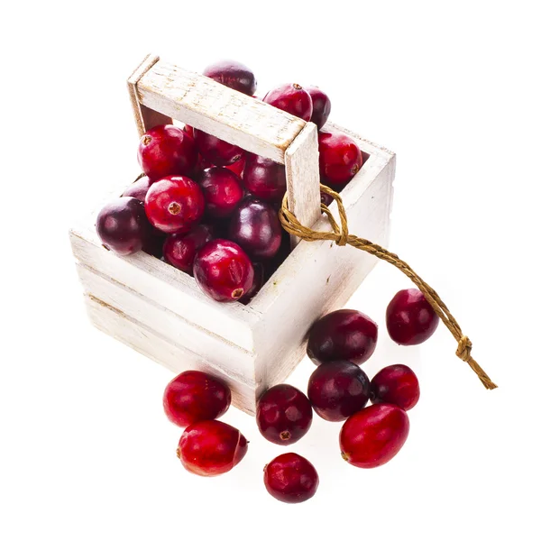 Fresh cranberries in wooden box — Stock Photo, Image