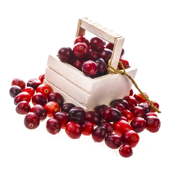 Fresh cranberries in wooden box — Stock Photo, Image