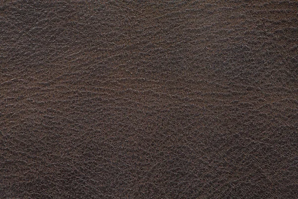 Textura de couro fundo — Fotografia de Stock