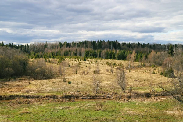 Tavaszi Táj Fields Folyó Erdők Egy Felhős Napon Kilátás Hegyről — Stock Fotó