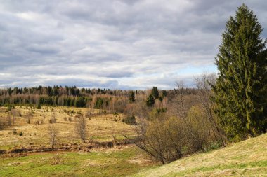 Bahar manzarası. Bulutlu bir günde tarlalar, nehir ve ormanlar. Tepeden bak. Güzel doğa arkaplanı