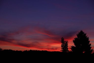 Ormanın üzerinde bulutlar olan mavi gökyüzüne karşı dramatik kırmızı gün batımı. Güzel bulutlu arka plan. Karanlık ve şafak konsepti 