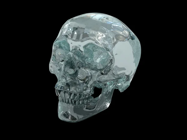 Crâne de cristal 3D — Photo