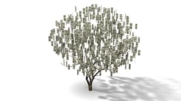 Arbre à argent avec billets d'un dollar — Video