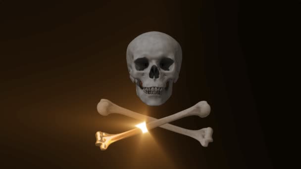 Cráneo y huesos — Vídeo de stock