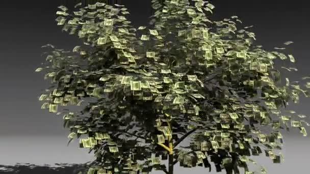 Árbol de dinero divertido — Vídeo de stock