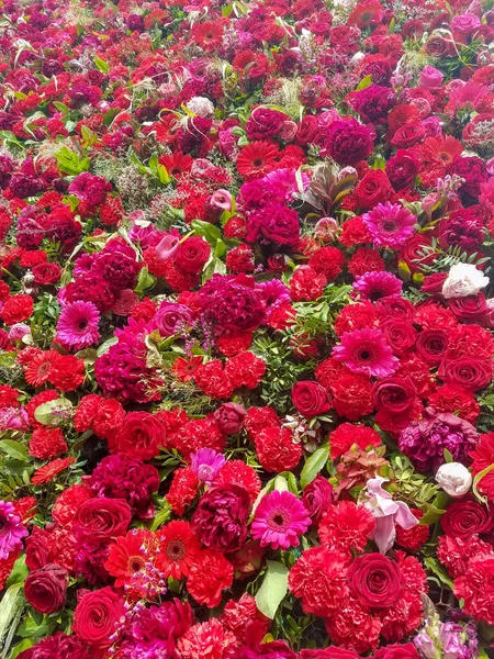 Zbliżenie Kwiatowym Tle Dekoracyjnej Ściany Pokrytej Czerwonymi Kwiatami Zielenią Dla — Zdjęcie stockowe