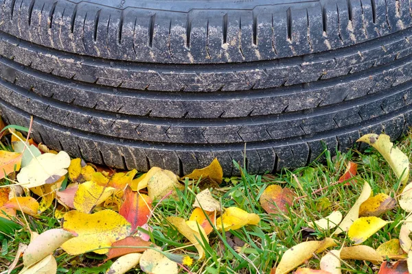 Selective focus on the tread of a car tire lying on the grass in an autumn day. Yellow fallen leaves are scattered around. Seasonal tire change concept.