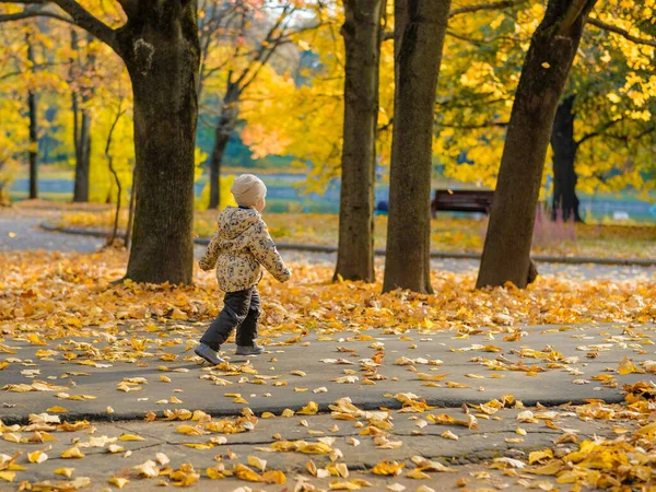 Bayi perempuan berjalan-jalan di taman musim gugur. Hari musim gugur. Happy childhood. — Stok Foto