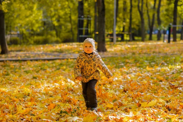 Bayi perempuan berjalan-jalan di taman musim gugur. Hari musim gugur. Happy childhood. — Stok Foto