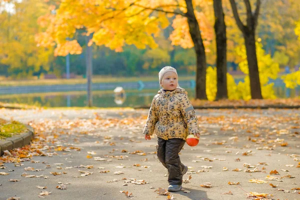 Bayi perempuan berjalan di taman musim gugur. Hari musim gugur yang cerah. Happy childhood. — Stok Foto