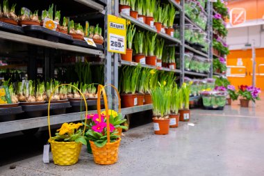 Bir bahçe alışveriş merkezinde satılık çiçek ve bitkiler..