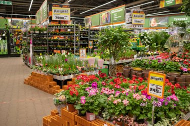 Bir bahçe alışveriş merkezinde satılık çiçek ve bitkiler..