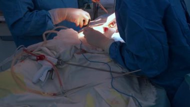 Doktorlar insan derisini dikmek için tıbbi aletler ve metal iplik kullanıyorlar..