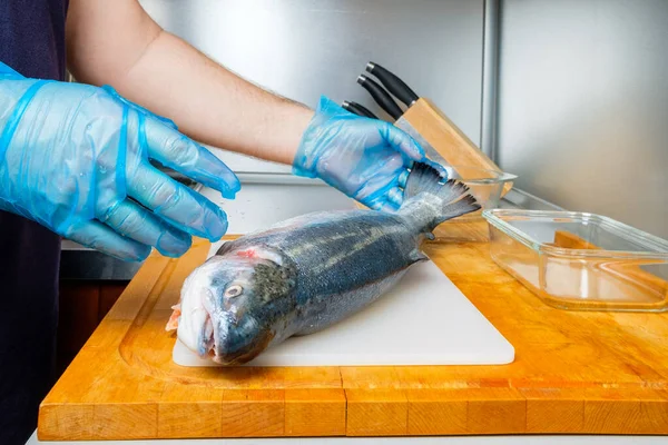 Кухар в гігієнічних рукавичках тримає багажник свіжого лосося . — стокове фото