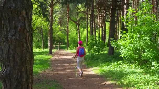 La jeune fille marche scandinave le long du chemin dans la forêt. — Video