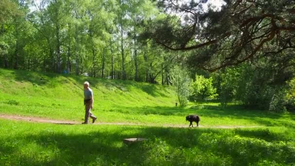 En man rastar sin hund i parken en solig sommardag. — Stockvideo