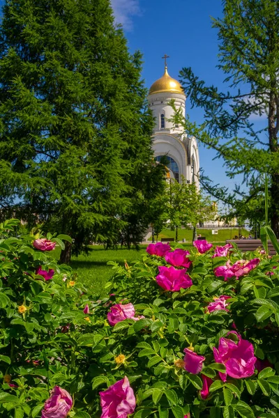 Цветы на фоне голубого неба и церкви Орлеана. — стоковое фото