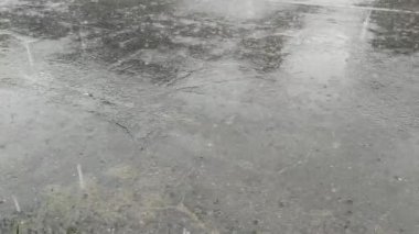 Gri asfalta düşen yağmur damlaları.