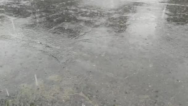 Краплі дощової води падають на сірий асфальт . — стокове відео