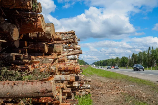 Sawed tree trunks lie on the side of a suburban highway along which cars travel — Stock Photo, Image