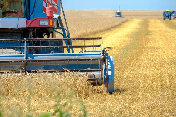 Colheitadeira agrícola corta trigo — Fotografia de Stock