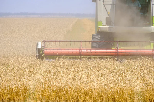 Colheitadeira agrícola corta trigo — Fotografia de Stock