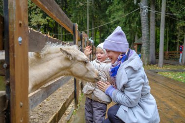 Anne ve kızı evcil hayvan çiftliğinde bir tayın yüzünü okşuyor..