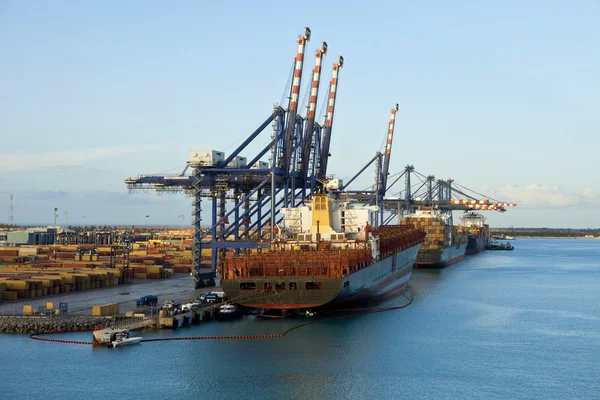 Ships loading in grand bahama — Stock Photo, Image