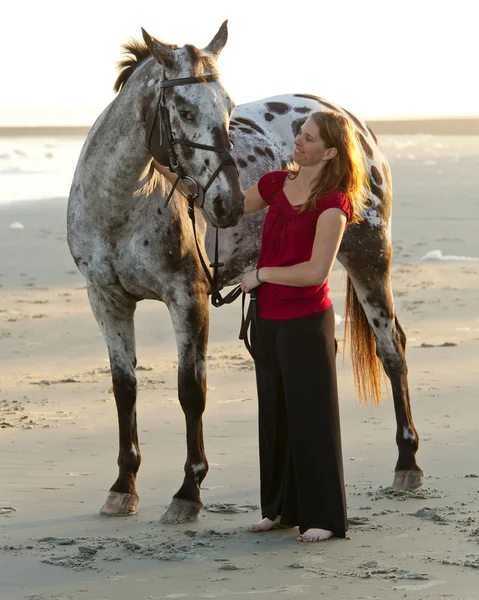 Женщина на пляже с лошадью — стоковое фото