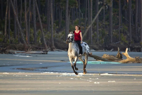 Mulher equitação cavalo na praia — Fotografia de Stock