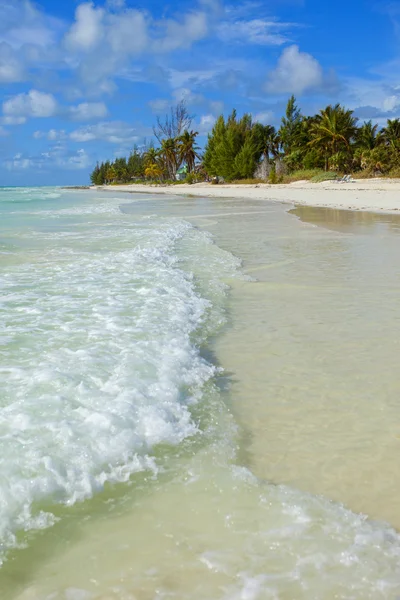 Prázdná pláž Bahamy — Stock fotografie