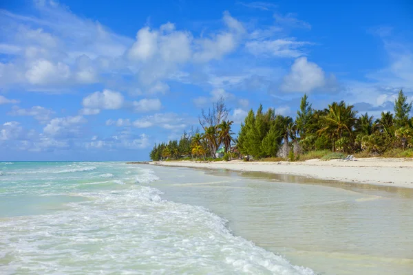 Bahamas playa — Foto de Stock