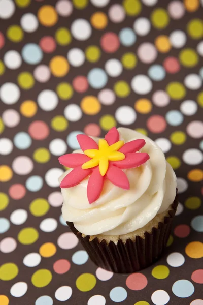 Cupcake med färgstarka bakgrund — Stockfoto